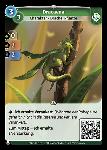 Dracaena