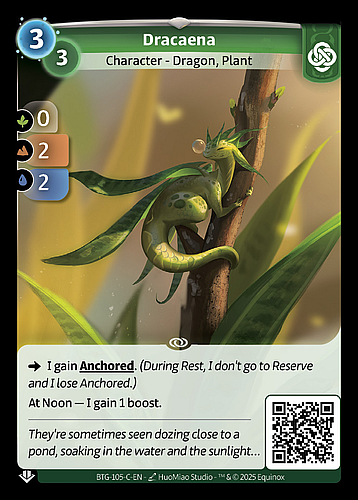 Dracaena