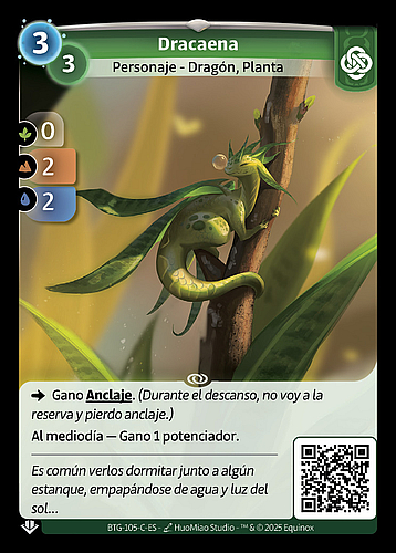 Dracaena