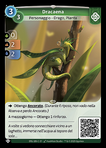 Dracaena
