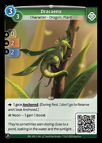 Dracaena