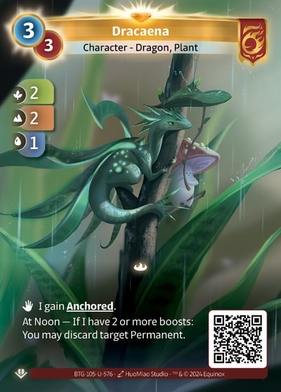 Dracaena