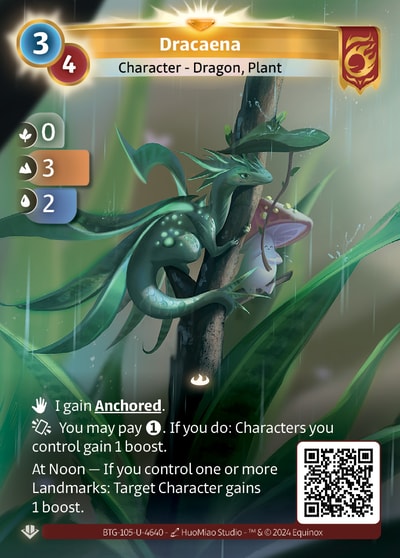 Dracaena