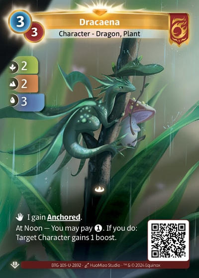 Dracaena