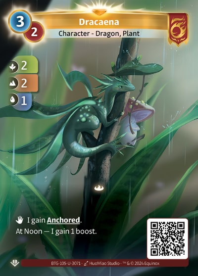 Dracaena