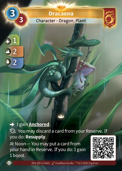 Dracaena