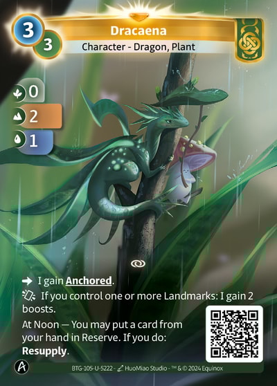 Dracaena