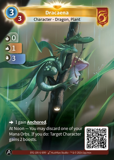 Dracaena