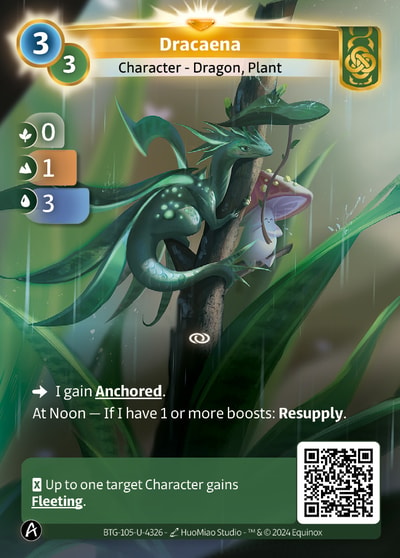 Dracaena
