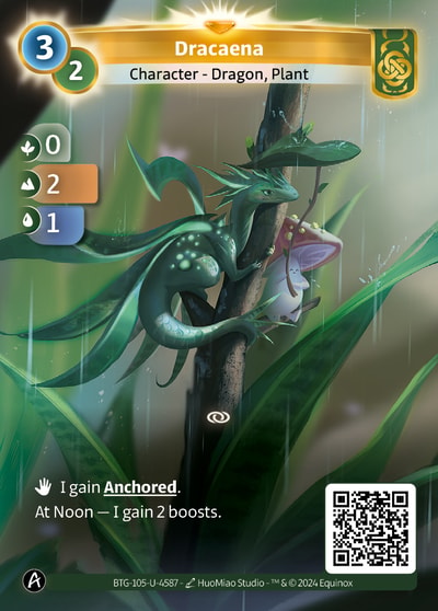 Dracaena