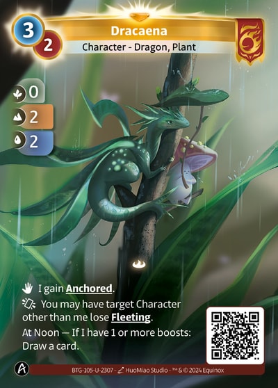 Dracaena