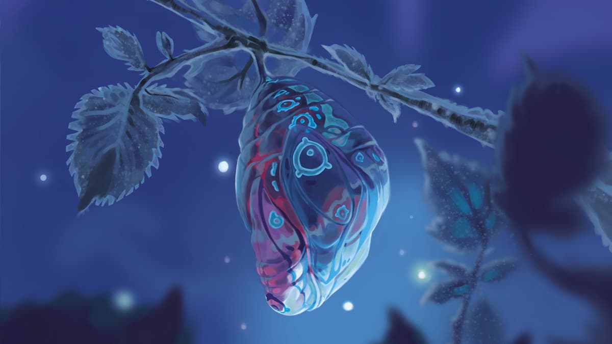 butterfly-banner